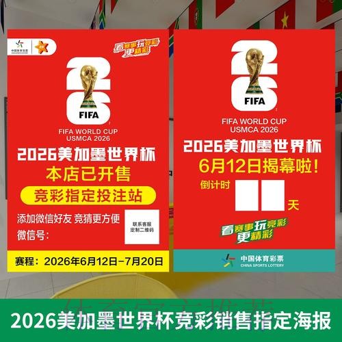 2026年世界杯投注站详解指南